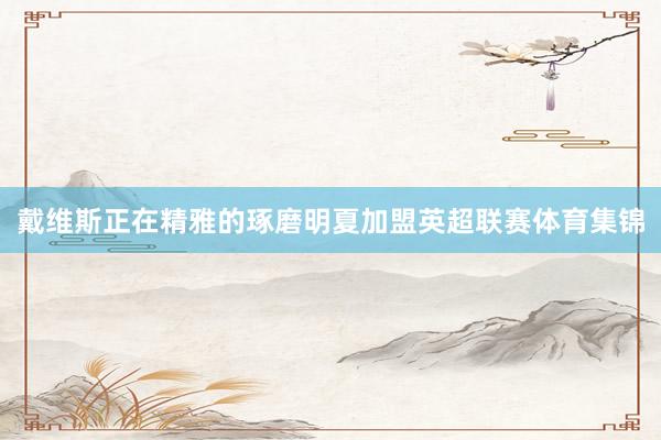 戴维斯正在精雅的琢磨明夏加盟英超联赛体育集锦