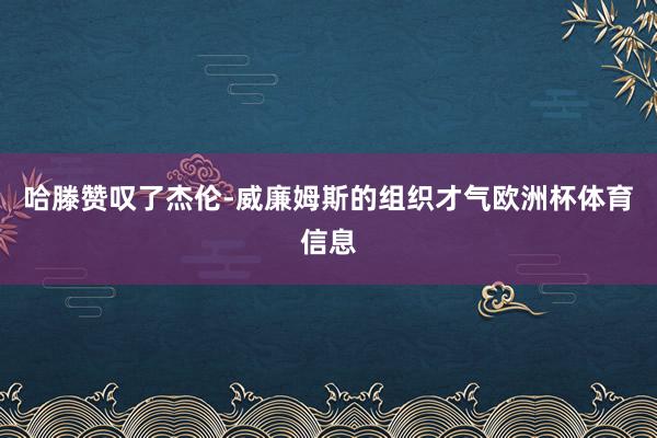 哈滕赞叹了杰伦-威廉姆斯的组织才气欧洲杯体育信息
