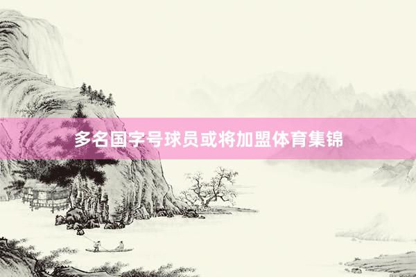 多名国字号球员或将加盟体育集锦