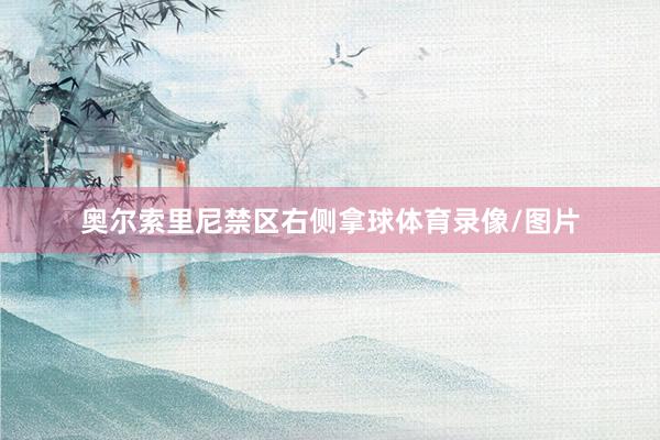 奥尔索里尼禁区右侧拿球体育录像/图片