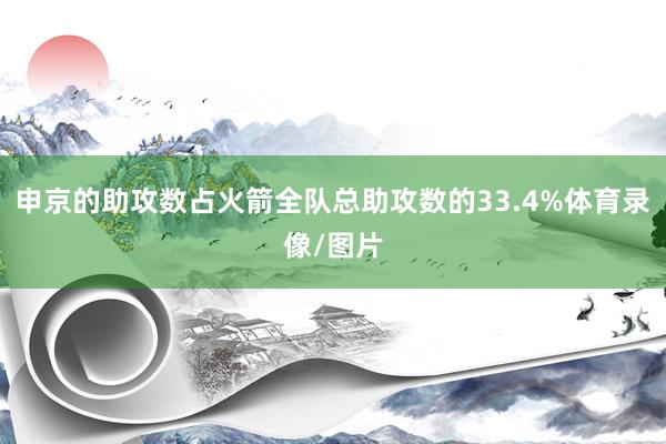申京的助攻数占火箭全队总助攻数的33.4%体育录像/图片