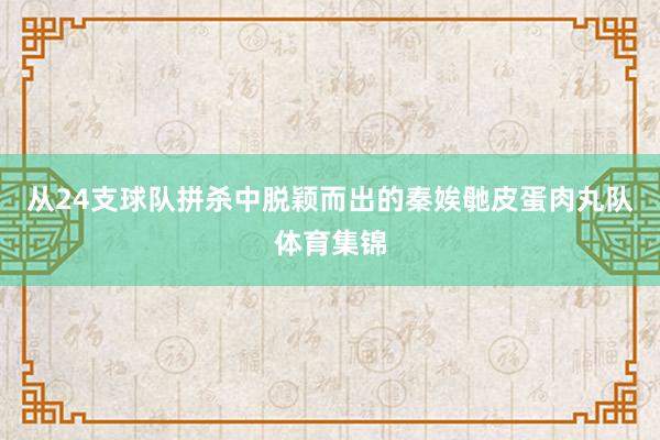 从24支球队拼杀中脱颖而出的秦娭毑皮蛋肉丸队体育集锦