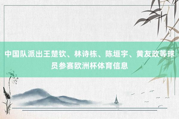 中国队派出王楚钦、林诗栋、陈垣宇、黄友政等球员参赛欧洲杯体育信息
