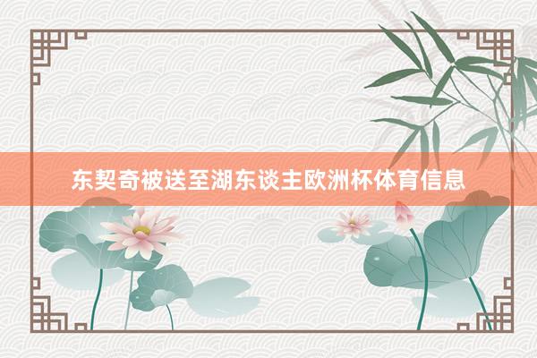 东契奇被送至湖东谈主欧洲杯体育信息