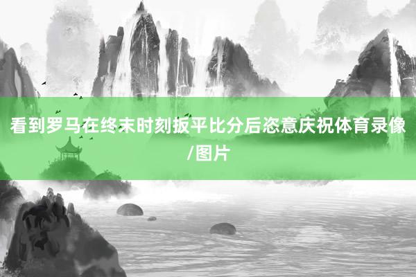 看到罗马在终末时刻扳平比分后恣意庆祝体育录像/图片