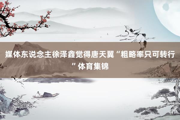 媒体东说念主徐泽鑫觉得唐天翼“粗略率只可转行”体育集锦
