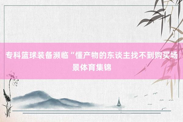 专科篮球装备濒临“懂产物的东谈主找不到购买场景体育集锦