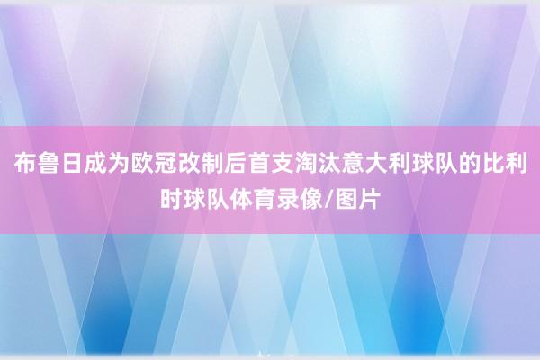 布鲁日成为欧冠改制后首支淘汰意大利球队的比利时球队体育录像/图片