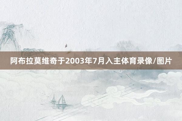 阿布拉莫维奇于2003年7月入主体育录像/图片