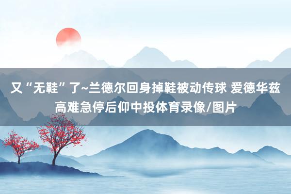 又“无鞋”了~兰德尔回身掉鞋被动传球 爱德华兹高难急停后仰中投体育录像/图片
