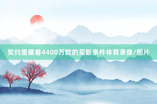 契约里藏着4400万欧的买断条件体育录像/图片