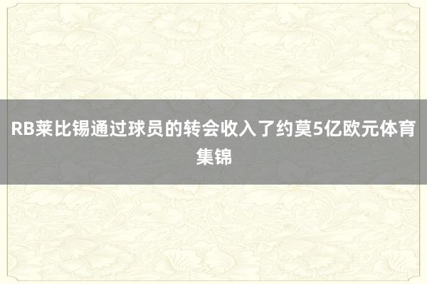 RB莱比锡通过球员的转会收入了约莫5亿欧元体育集锦