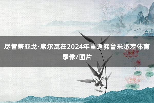 尽管蒂亚戈·席尔瓦在2024年重返弗鲁米嫩塞体育录像/图片