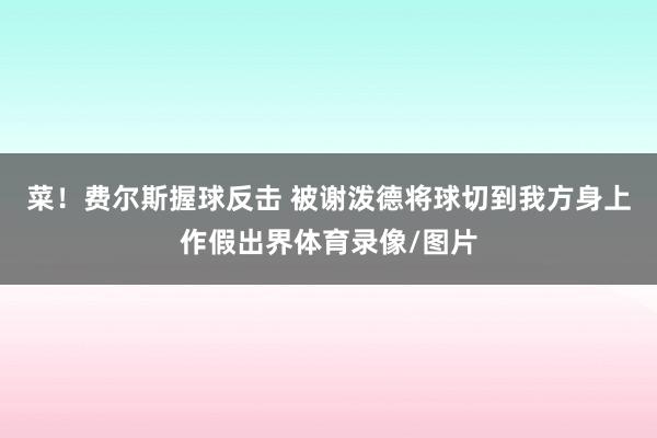菜！费尔斯握球反击 被谢泼德将球切到我方身上作假出界体育录像/图片