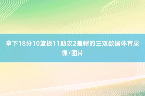 拿下18分10篮板11助攻2盖帽的三双数据体育录像/图片