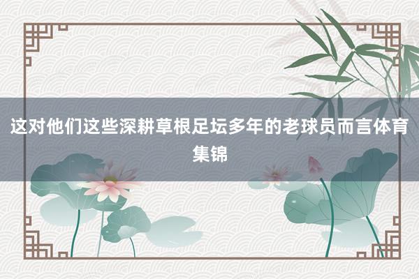 这对他们这些深耕草根足坛多年的老球员而言体育集锦