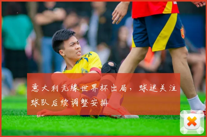 意大利无缘世界杯出局，球迷关注球队后续调整安排