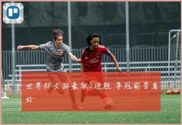 世界杯女排豪取5连胜 争冠前景看好