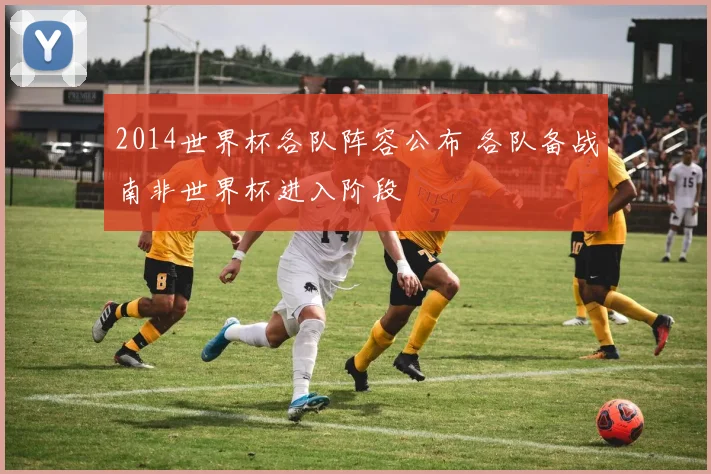 2014世界杯各队阵容公布 各队备战南非世界杯进入阶段