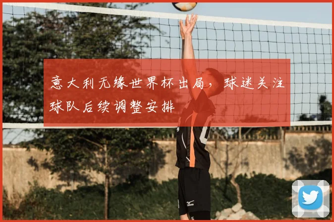 意大利无缘世界杯出局，球迷关注球队后续调整安排