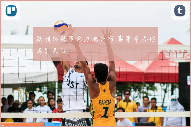 欧洲杯冠军举办地公布 赛事举办地点引关注