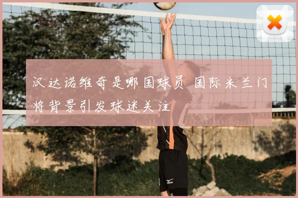 汉达诺维奇是哪国球员 国际米兰门将背景引发球迷关注